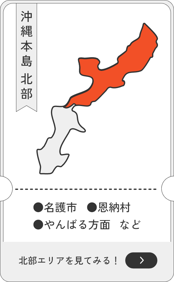 沖縄本島北部（名護市・本部町・恩納村・やんばる方面）