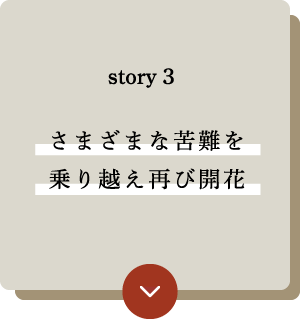 story3へ