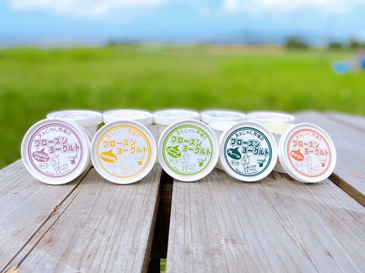 まぁじゅんのフローズン ヨーグルトセット10個入り　送料込