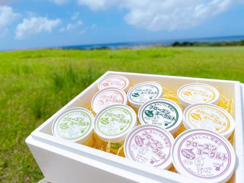 ■ギフトに最適♪石垣島産ひんやりスイーツ