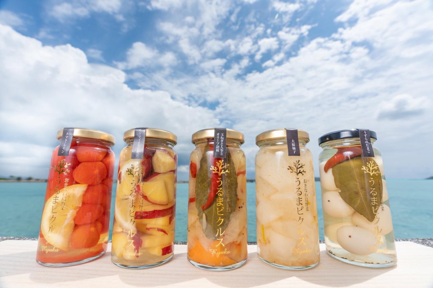 うるまピクルス 5本セット 送料込