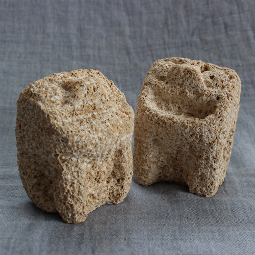 スクチャーシーサー　(ひょうきん者)