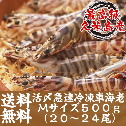 【送料無料】活〆急速冷凍車海老Mサイズ　500g/20〜24尾入/約15cm