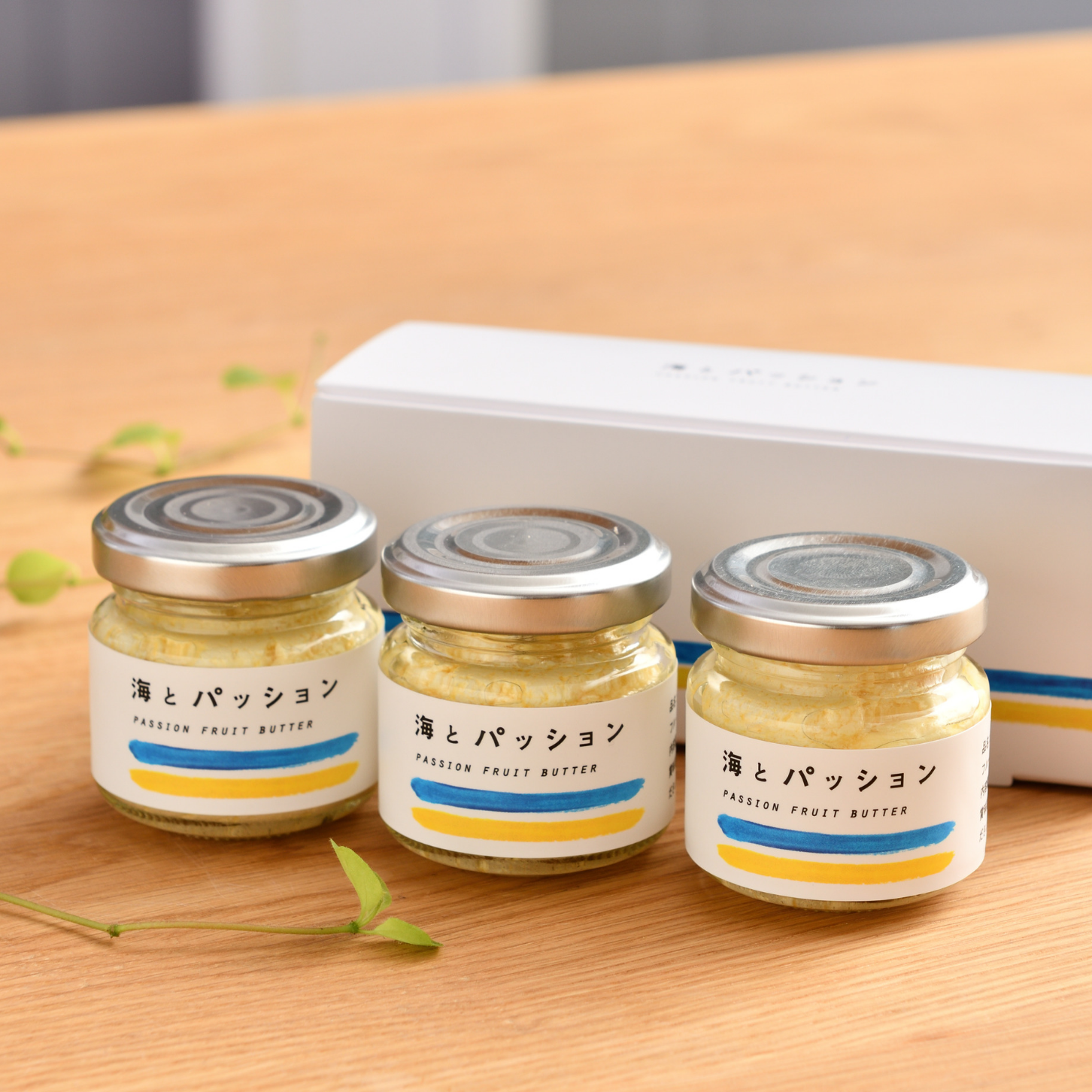 海とパッション